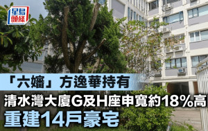 「六婶」方逸华持有 清水湾大厦G及H座申宽约18%高限 重建14户豪宅