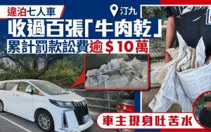 汀九再現違泊奇景 被抄逾三個月累計逾百告票 車主現身親解無奈原因