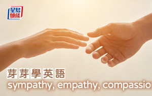 陈东红 - sympathy , empathy, compassion｜芽芽学英语