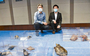 漁護署檢31隻瀕危淡水龜拘2男