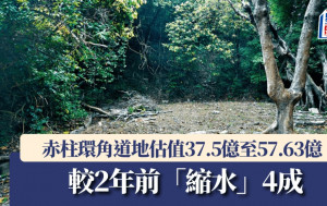 赤柱环角道地估值37.5亿至57.63亿 较2年前「缩水」4成