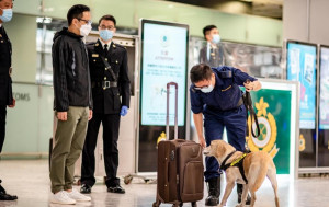 政府引入「三層防範機制」加強反恐 海關：全力配合