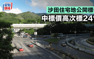 沙田住宅地公開標價 中標價高次標24%