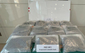 LED平板燈內槽藏大麻花 海關拘倉務員檢值320萬毒品