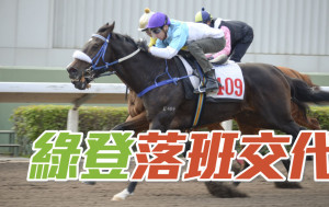黄总精选灵活玩│「绿登」马胆之选