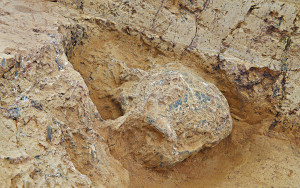 湖北古人類頭骨化石 證中國百萬年人類史