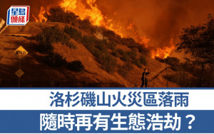 洛杉磯山火︱災區落雨惹生態浩劫？  被燒電子產品有毒物或隨水擴散