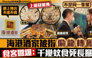 星岛申诉王｜海港酒家被指偷龙转凤 食客嬲爆：千几蚊食死长脚蟹