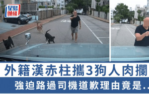 外籍漢赤柱攜3狗人肉攔車 強迫路過司機道歉理由竟是...｜Juicy叮