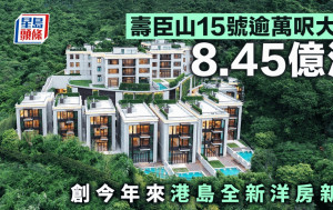 壽臣山15號逾萬呎大宅8.45億沽 創今年來港島全新洋房新高