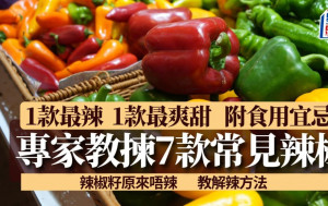 辣椒点拣？讲解7款常见辣椒味道/煮法/营养 辣椒这部位最辣 附解辣法｜食材知识