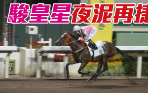 「骏皇星」磅位有着数