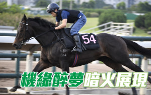 内圈捕影│「机缘醉梦」暗火展现