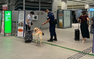 食安中心加強執法打擊非法攜帶生肉生蛋等入境 上周發現68宗個案