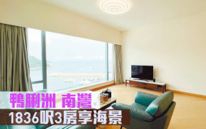睇樓王｜鴨脷洲南灣  1836呎3房享海景