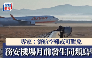 濟州航空空難｜事發前1個月曾發生鳥擊  專家：未採取預防措施才是元兇