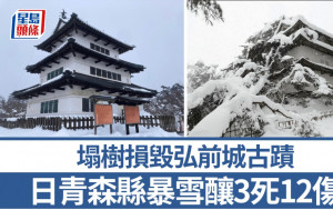 遊日注意｜青森縣暴雪釀3死12傷  弘前城古蹟遭塌樹壓毀