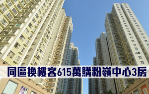 二手市況｜同區換樓客615萬購粉嶺中心3房