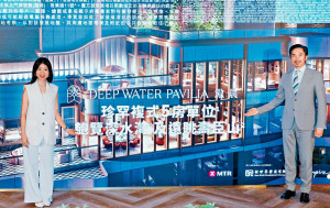 滶晨提速推限量招標測市