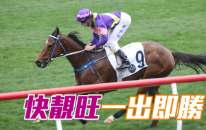 馬場密探048｜「快靚旺」一出即勝