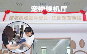 全國首家寵物候機廳 深圳機場啟用