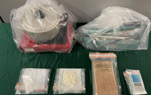 海關破兩宗毒品案 檢310萬元毒品 拘兩男