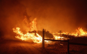 加州山火逾千人撤离  火场面积达60平方公里