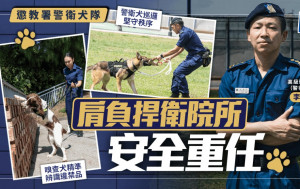 懲教署警衛犬隊肩負捍衛院所安全重任 警衛犬巡邏堅守秩序 嗅查犬精準辨識違禁品 