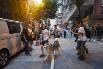 苏小姐的雪撬犬由消防救出事后感开心