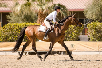Lisa.S自少鍾情騎馬，曾參加過青少年馬術聯賽，更投資開設騎術學校，自己更養了一隻馬。
