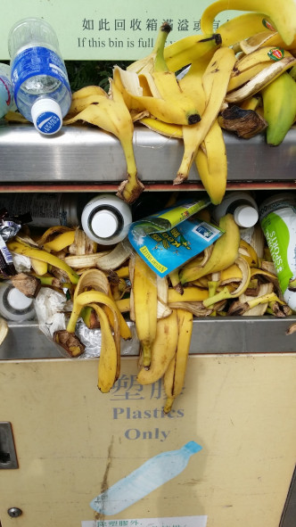 回收箱堆積大量香蕉皮。網上圖片