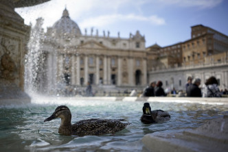 罗马许愿池恐怕会乾涸。AP图片