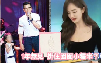 杨幂在直播节目上画奶樽，被网民估计是太挂住囡囡。