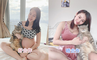 庄韵澄今日分享与爱猫合照，表示猫猫今日好合作。