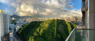 放盘景观不俗，可望开扬山市双景。