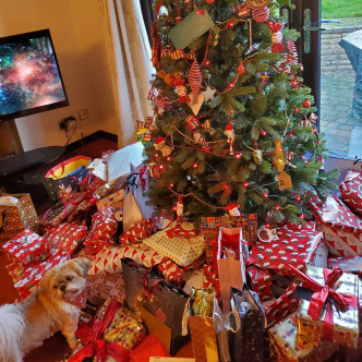 一家三口首度过圣诞，万千宠爱在一身的Michael亦收到唔少礼物，Amanda指图中有一半都是BB的。