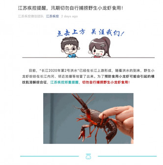 江苏疾控发文呼吁，民众切勿自行捕捞野生小龙虾食用。网页截图