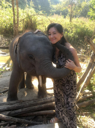 Sharon对大象保育相当关注和热心。