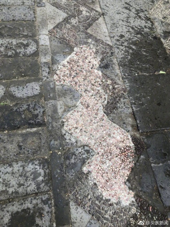 遊客北京故宮御花園挖走石頭留念。網上圖片