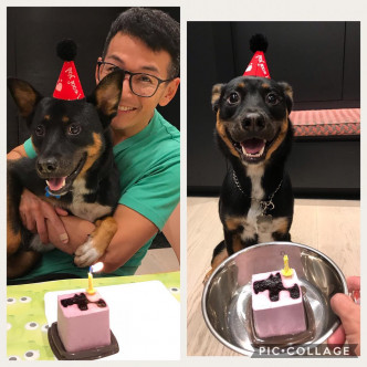 家樂同愛犬Trico慶祝生日。