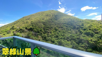 單位外望，可見翠綠山景。