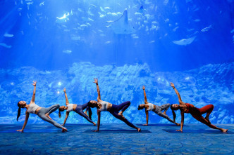 訪客可以在從未想像過的環境下練習瑜伽，猶如置身於深海中。
