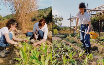 袁澧林在IG分享同媽媽去耕田的片段，又指媽媽未出發先興奮。