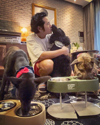 曹格在家中養了三隻狗狗。