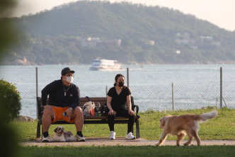 本報記者之前影到JW同男友去公園放狗，JW真心幾大隻。