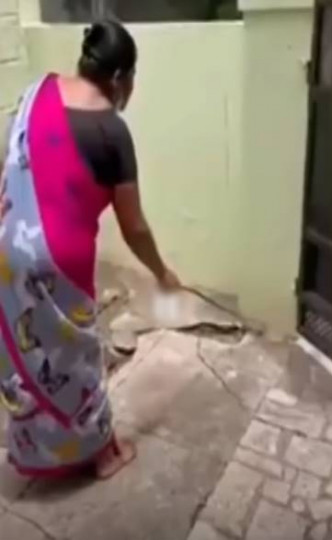 妇人与耐心地与眼镜蛇沟通。互联网图片