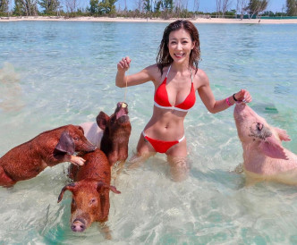 Alycia同动物真系好有缘，连出海玩都见到猪仔。