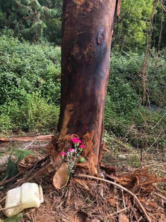 路克驾车失控撞到大树当场死亡。Jasmine Nadin fb　