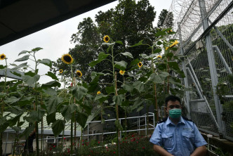 新屋岭扣留中心。