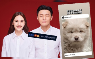 李榮浩與楊丞琳在網上調情，完全不理會網民感受。